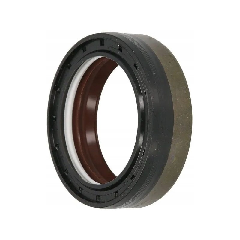 Seal combi sf19 48x65x19 fkm