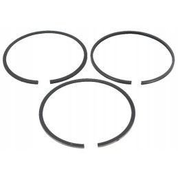 Piston ring set 591452