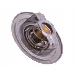 Thermostat sw400 bizon polmo