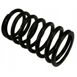 Clutch pressure spring, large, external 80021087 c 385