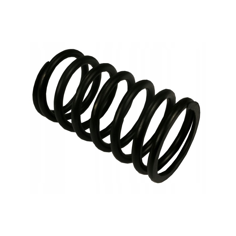 Clutch pressure spring, large, external 80021087 c 385