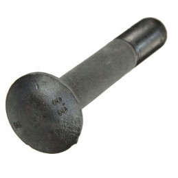 Bolt connecting the rim with the rear and front wheel disc