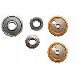 Intermediate lower timing gear for c 360 zetor 50504