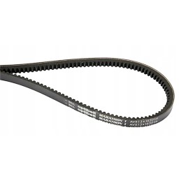 Toothed V-belt AVX13 LA 1425mm 4274692M91