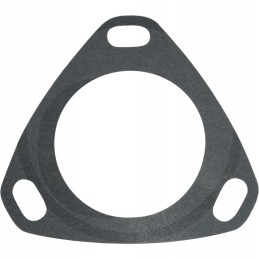 Morpak injection pump seal c 385 and derivatives