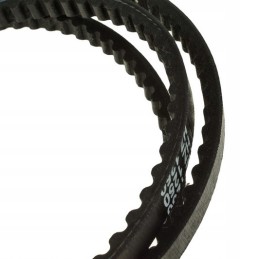 Timed V-belt hz1250 hz1250