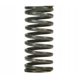 Internal valve spring for t 25 d37e1007046