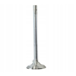 Chrome-plated intake valve for t 25 wladimirec d37m1007