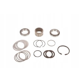 0011376900 gear repair kit