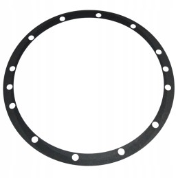 Morpak ring gear seal c 385 and derivatives
