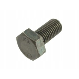 Screw m 10x18x1 25 80271048