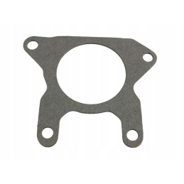 Pump drive seal nsz 10 2401022075