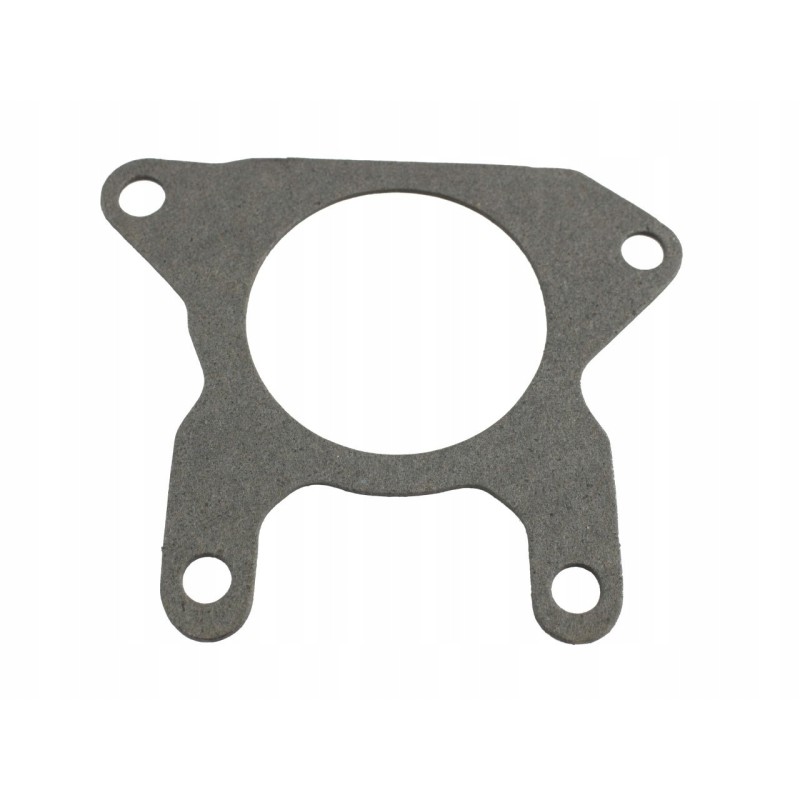 Pump drive seal nsz 10 2401022075