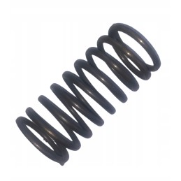 Valve spring external t 25 d37e1007045
