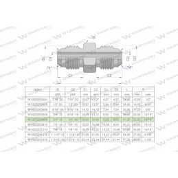 Inch hydraulic connector bb 3 4 unf jic
