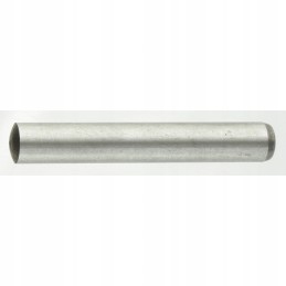 Cylindrical pin 77720173064 scharmuller