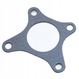 Zetor 69010275 servo pump seal