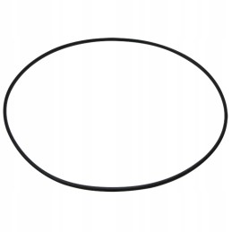 Oring 200mm 5450634303227 0634303227 zf