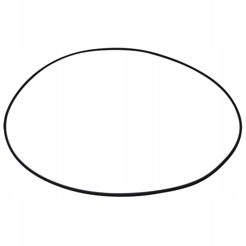 Oring 200mm 5450634303229 0634303229 zf