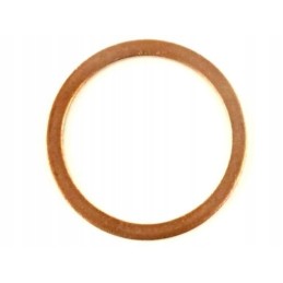 Iveco daily 1 oil pan plug washer