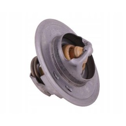 Thermostat 83913835 Ford Polmo