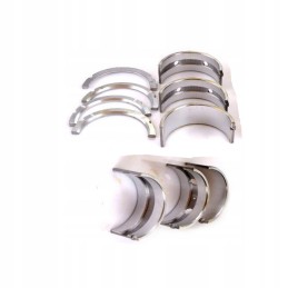 Set of Wladimirec main bearings t 25 p2