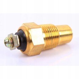 Temperature sensor t 25 tm100 t25 wladimirec