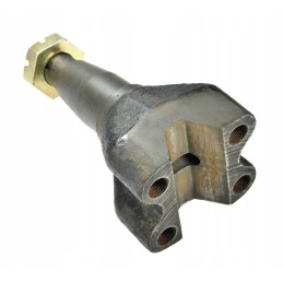 Front wheel journal with nut c4011 50436451 t