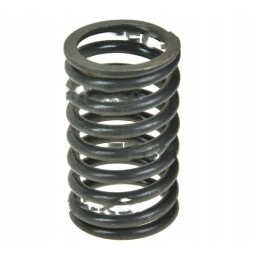 Valve spring external mtz sk 240 1007046 apa