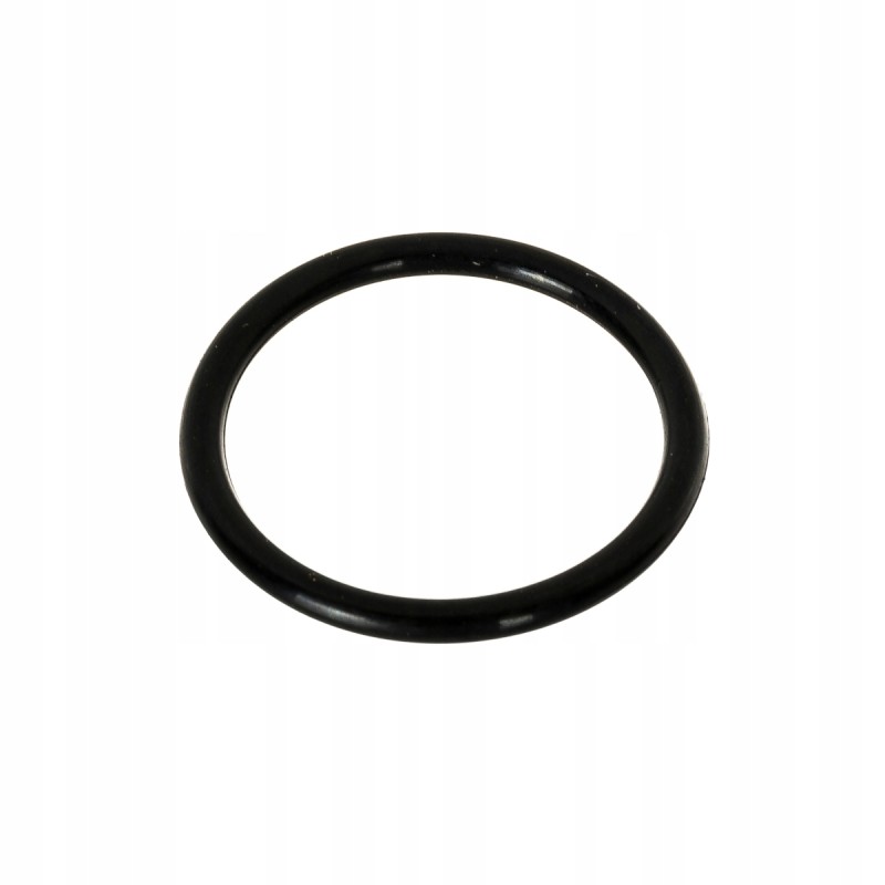 O-ring original Fendt F281940010020