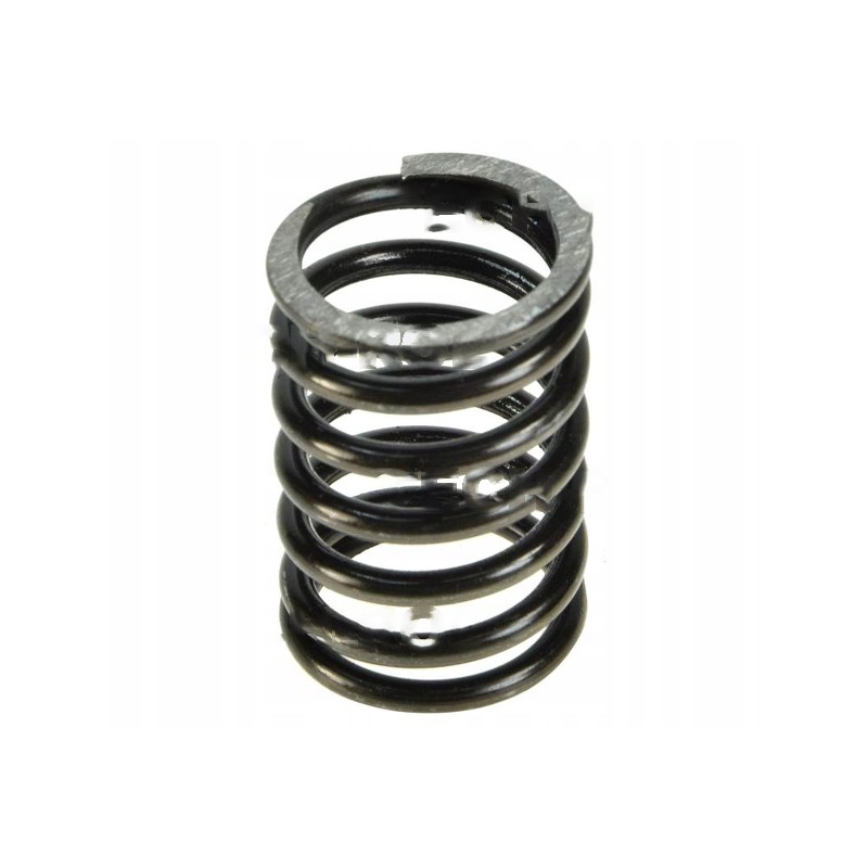 Head valve spring for mf 3 0780006 product kr