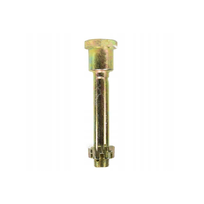 Rear suspension pin 50 4605076 standard product