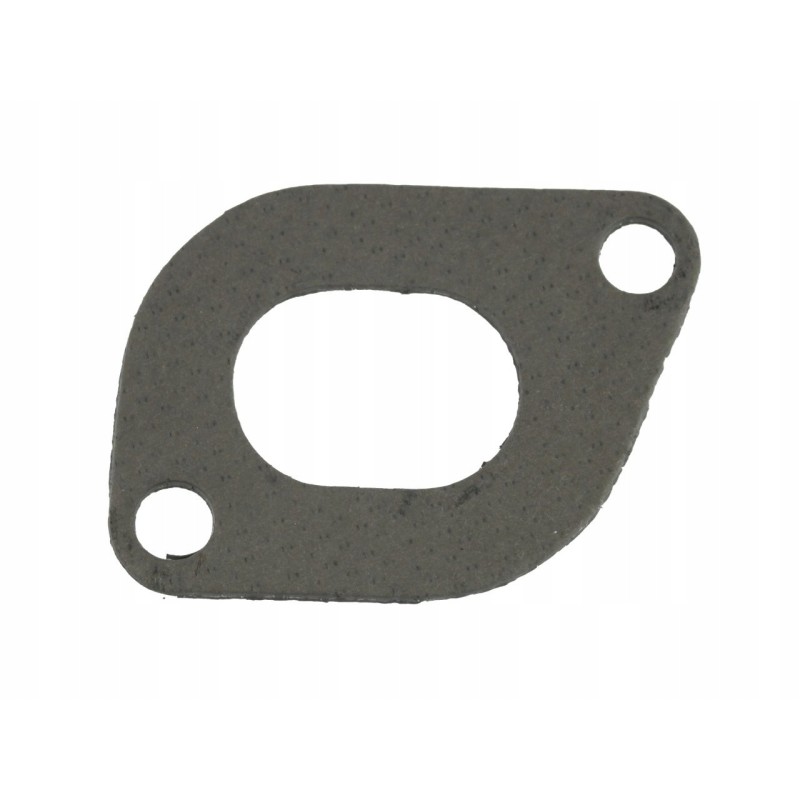 Manifold gasket 2xk mtz 501008026
