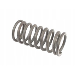 Feed pump piston spring v230200