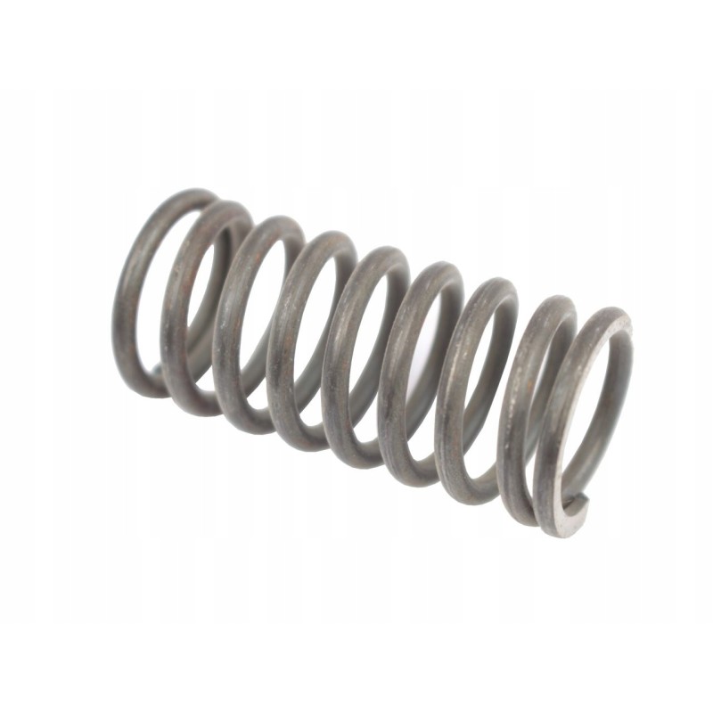 Feed pump piston spring v230200