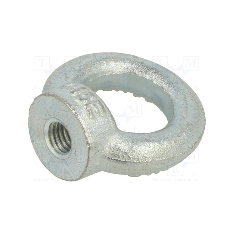 1 pcs x ELESA+GANTER - DIN 582-M10-ST - Lifting eye nut, eye, M10, steel, Plating: zinc, DIN 582, 25mm