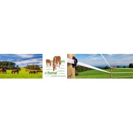 Set of small cotter pins