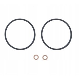 Set of ursus c330 c360 c385 fuel filter inserts