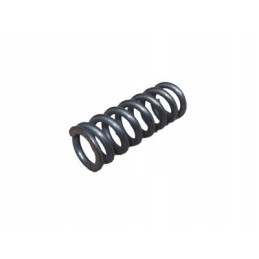 Clutch pressure spring T25 Wladimirec