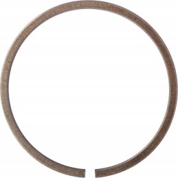 Expansion retaining ring ina fag sp90