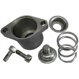 Pawl rear body p40 p80 type 1 spring set