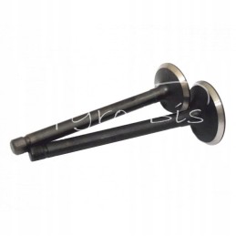 Kubota v2403 engine valve set, intake plus release