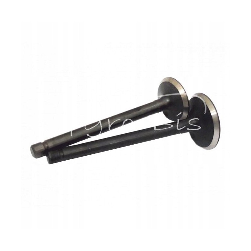 Kubota v2403 engine valve set, intake plus release