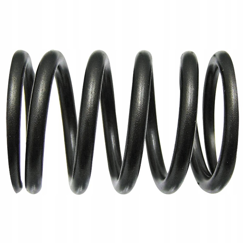 Valve spring f284201011010 fendt