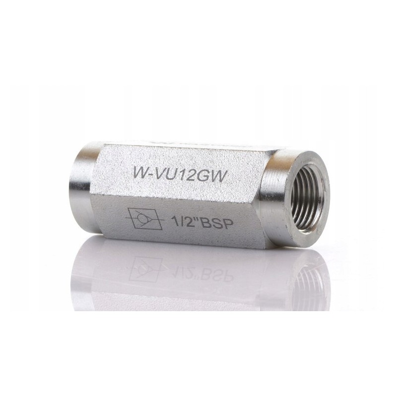 Check valve 1 2 BSP in VU12GW Warynski