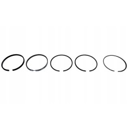 Landini mf ferguson piston rings 41158041