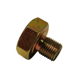 Fuel intake pipe screw Wladimirec T 25 A2550146