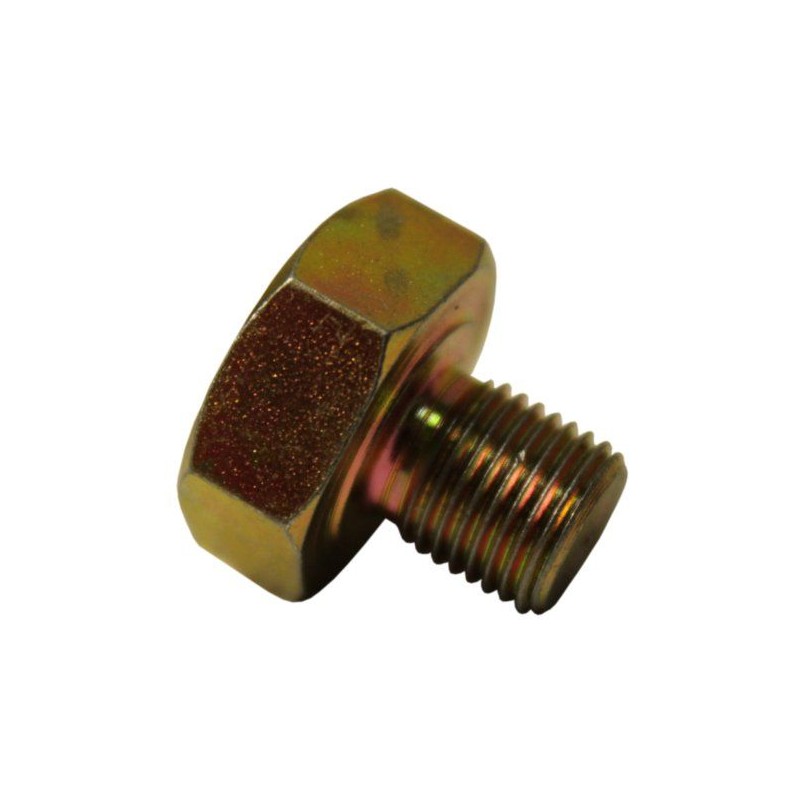Fuel intake pipe screw Wladimirec T 25 A2550146