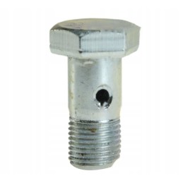 Injector overflow screw 0095315 domestic product