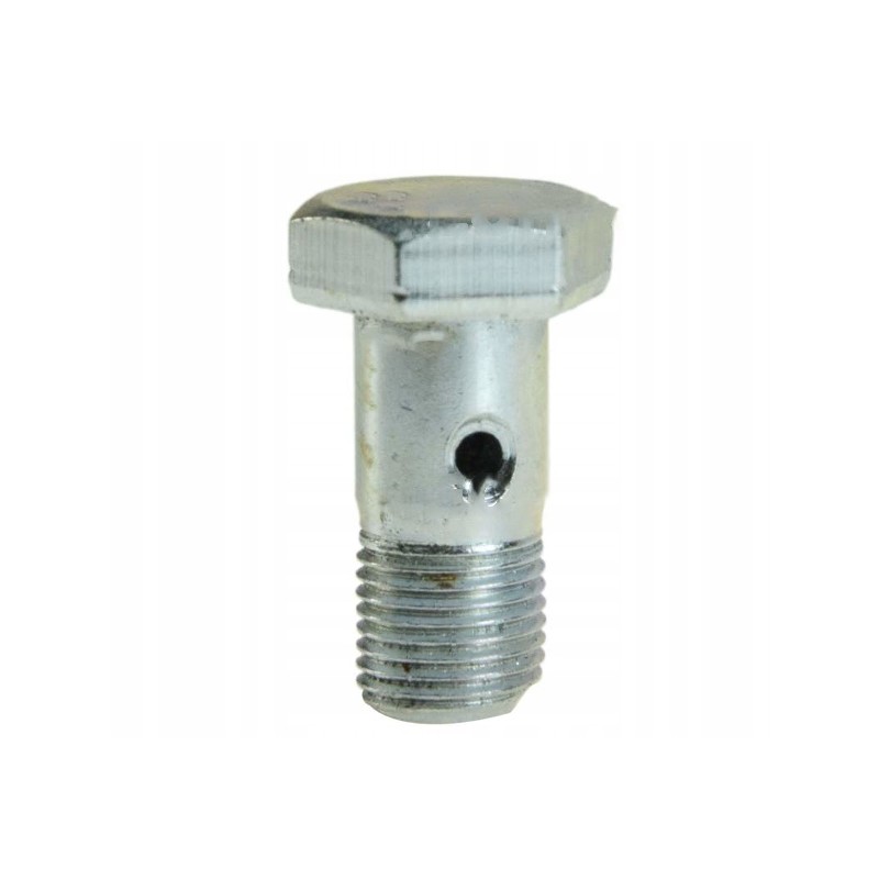 Injector overflow screw 0095315 domestic product